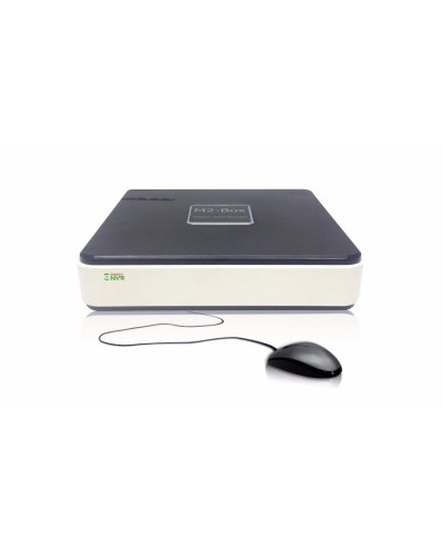 BestNVR-400. IP-видеосервер 4-канальный. BestDVR в Камышине