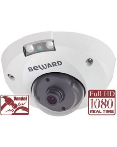 NK55630D8. IP-камера купольная. Beward в Камышине
