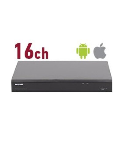 RK2216. Видеорегистратор IP 16-канальный. Beward в Камышине