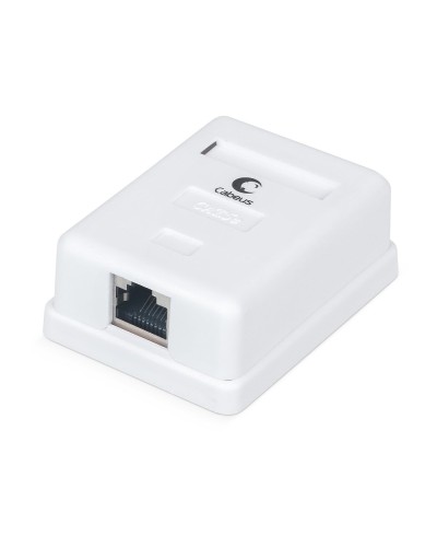 WS-8P8C-Cat.5e-SH-1 (7485c): Розетка RJ-45 в Камышине