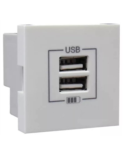 Розетка USB двойная, зарядная, белая (45439 SBR): Розетка USB двойная в Камышине