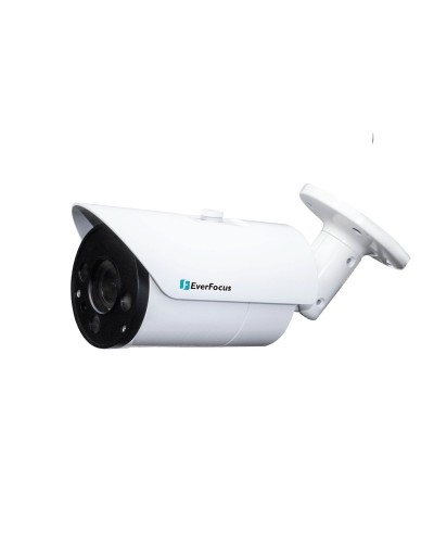 EZN-268V. Видеокамера IP купольная. EverFocus в Камышине