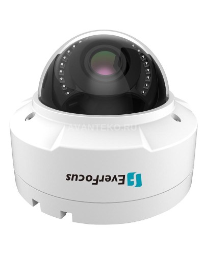 EHN-1250. Видеокамера IP купольная. EverFocus в Камышине