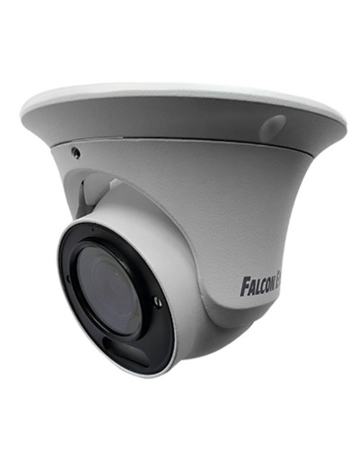 FE-IPC-DV2-40pa. Видеокамера IP купольная. Falcon EYE в Камышине