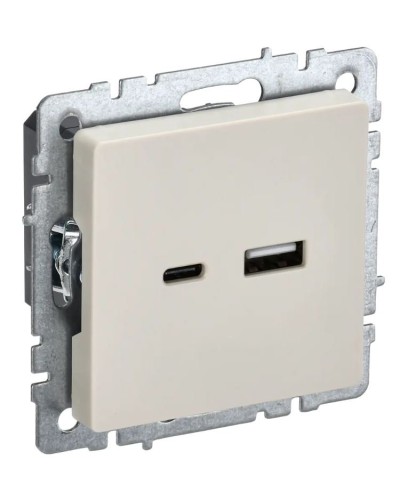 Розетка USB A+C 18Вт РЮ11-1-БрКр бежевый BRITE (BR-U22-018-K10). Розетка USB. IEK в Камышине