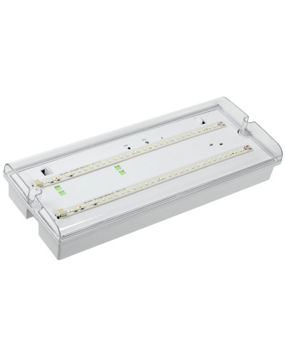 Светильник аварийный ДПА 5042-1 1ч IP65 LIGHTING (LDPA0-5042-1-65-K01). Светильник аварийный универсальный. IEK в Камышине