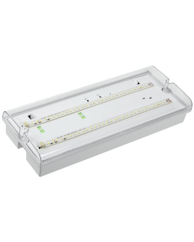 Светильник аварийный ДПА 5042-3 3ч IP65 LIGHTING (LDPA0-5042-3-65-K01). Светильник аварийный универсальный. IEK в Камышине