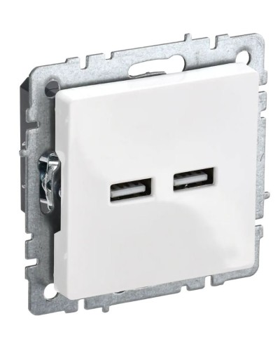 Розетка USB A+A 3,1А РЮ10-1-БрБ белый BRITE (BR-U21-D31-K01). Розетка USB. IEK в Камышине