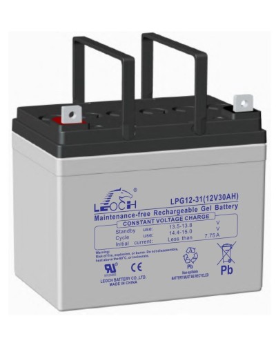 LEOCH LPG 12-31. Аккумулятор герметичный свинцово-кислотный. LEOCH в Камышине