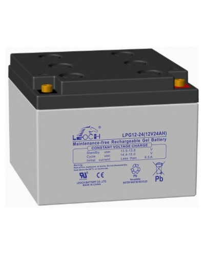 LEOCH LPG 12-24. Аккумулятор герметичный свинцово-кислотный. LEOCH в Камышине