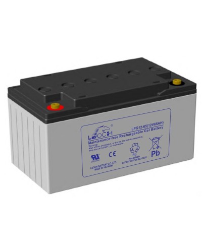 LEOCH LPG 12-65. Аккумулятор герметичный свинцово-кислотный. LEOCH в Камышине