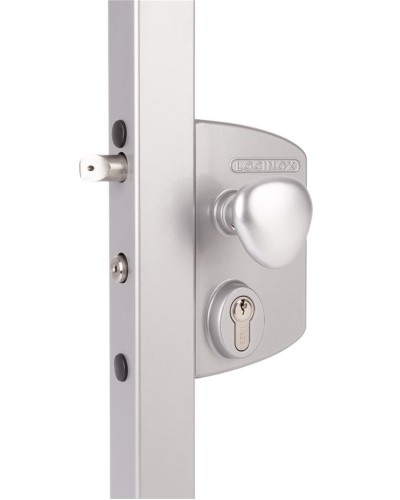 LIKQ4040 U2L (цвет: RAL 9005, черный). Замок электромеханический для калиток. Locinox в Камышине