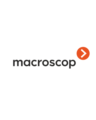 Расширение с LS до ST. Программное обеспечение (опция). MACROSCOP в Камышине
