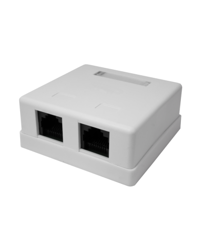 Розетка настенная RJ-45, 8P8C, Cat.5e, 2 порта UTP (10-0309): Компьютерная розетка в Камышине