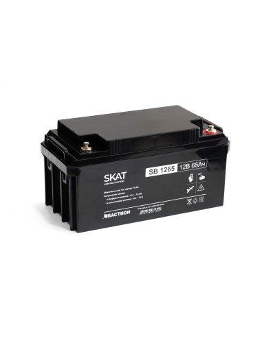 SKAT SB 1265 (2541). Аккумулятор герметичный свинцово-кислотный. Бастион в Камышине