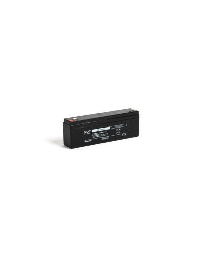 SKAT SB 12022 (2539). Аккумулятор герметичный свинцово-кислотный. Бастион в Камышине