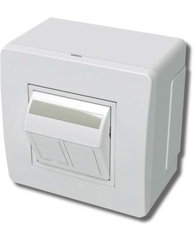Коробка в сборе с 2 розетками RJ45, кат.5е, белая (10656): Коробка в сборе в Камышине