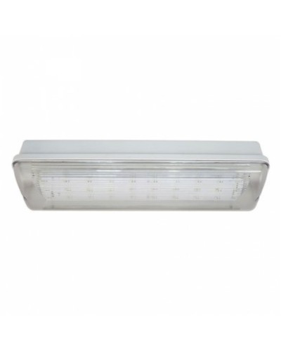 SL-213-30LED1.8 исп.1 IP54. Светильник аварийного освещения. ИП Раченков А.В. в Камышине