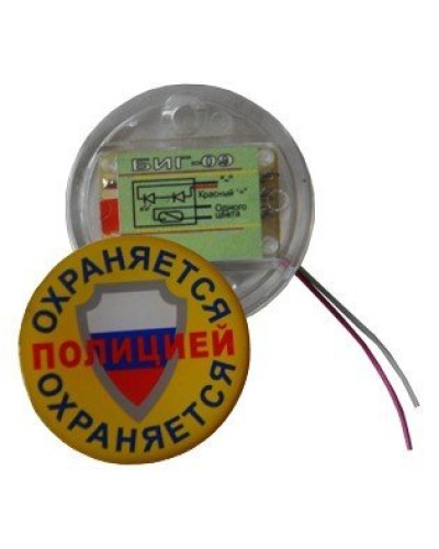 БИГ-09 н.р.. Индикатор прибытия наряда. ПЭАП (Альфатех-Центр) в Камышине