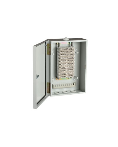 ШРН-В/100-Р (120908-00122). Шкаф ШРН-В/100-Р, плинт ПВТ-10Р-5е. ССД (Связьстройдеталь) в Камышине