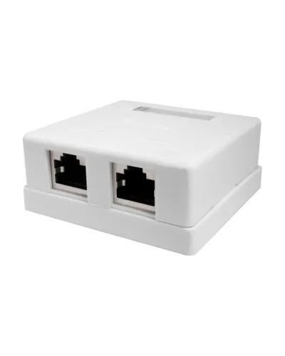 Розетка настенная RJ-45, 8P8C, Cat.5e, 2 порта, FTP (10-0308). Компьютерная розетка. SUPRLAN в Камышине