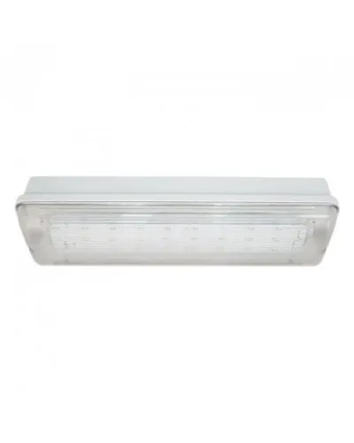 SL-223-30LED1.8 исп. 1, IP65. Светильник аварийного освещения. ИП Раченков А.В. в Камышине