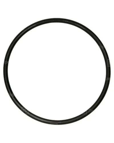 Кольцо резиновое уплотнительное для двустенной трубы D32 (PR08.5772). Кольцо резиновое уплотнительное для двустенной трубы. Промрукав в Камышине